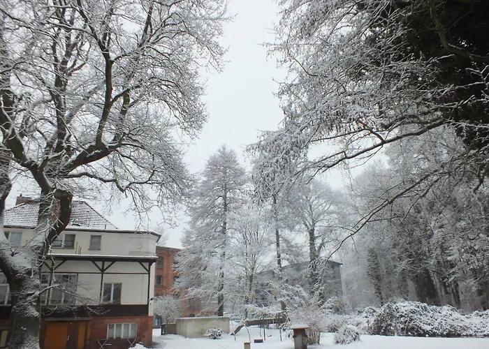 Monteurwohnung Mit 2 Schlafzimmern, Küche, Bad * Cottbus